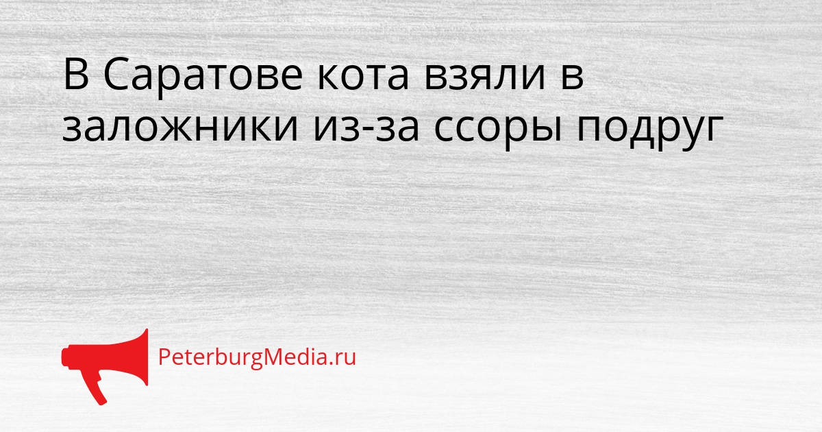 В Саратове кота взяли в заложники из-за ссоры подруг Сгенерировано