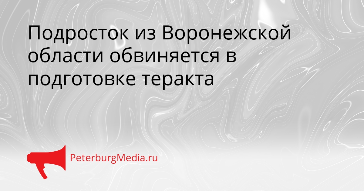 Подросток из Воронежской области обвиняется в подготовке теракта Сгенерировано