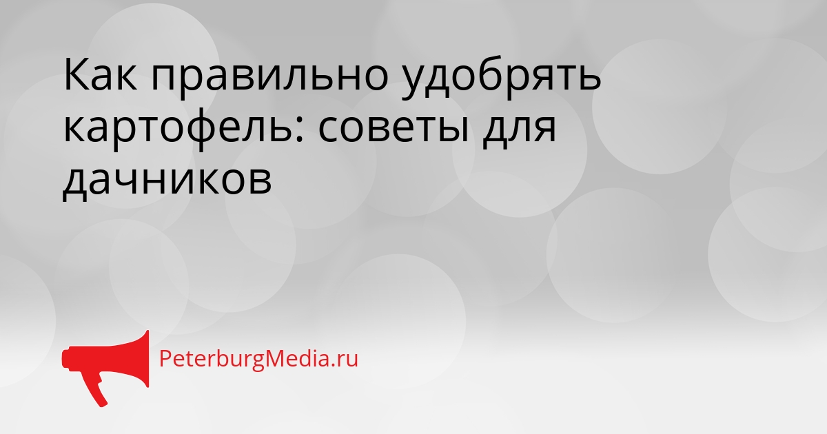 Как правильно удобрять картофель: советы для дачников Сгенерировано