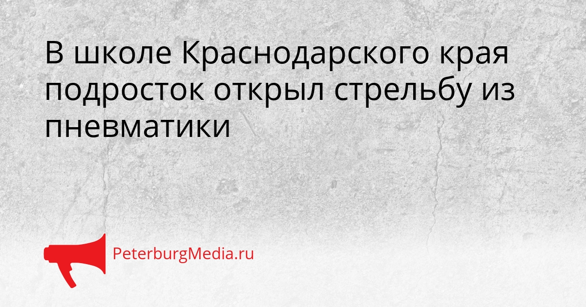 В школе Краснодарского края подросток открыл стрельбу из пневматики Сгенерировано