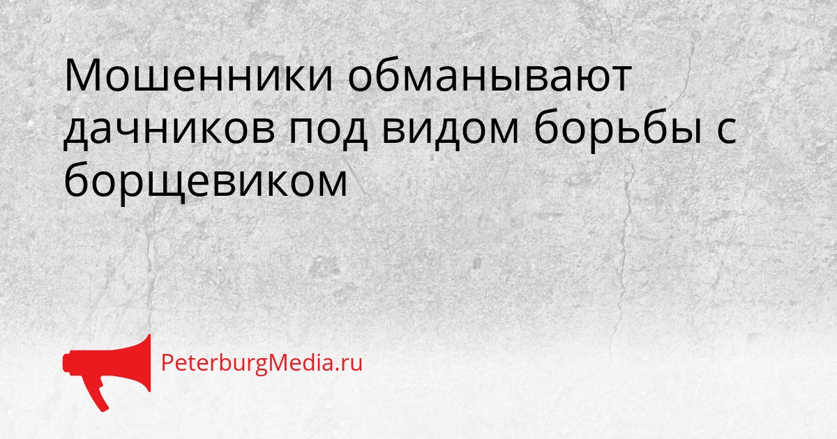 Мошенники обманывают дачников под видом борьбы с борщевиком Сгенерировано