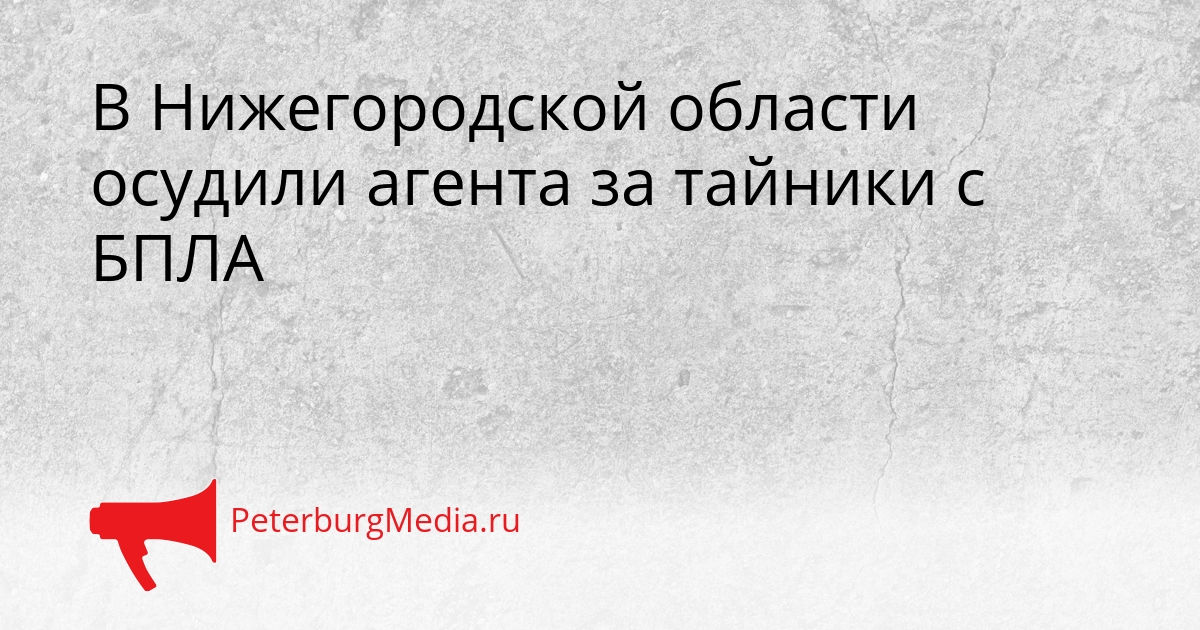 В Нижегородской области осудили агента за тайники с БПЛА Сгенерировано