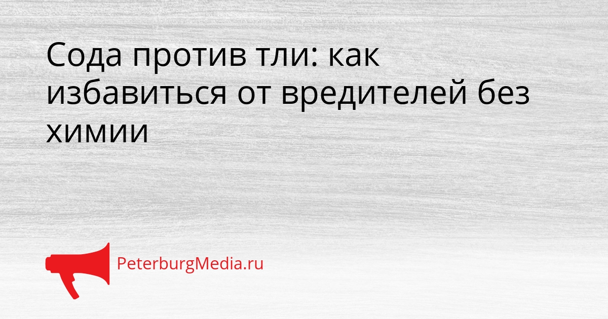 Сода против тли: как избавиться от вредителей без химии Сгенерировано