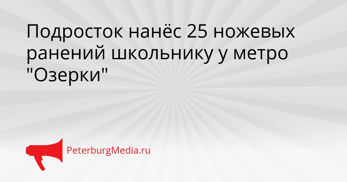 Подросток нанёс 25 ножевых ранений школьнику у метро &quotОзерки&quot Сгенерировано
