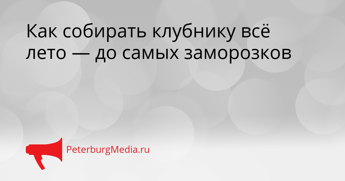 Как собирать клубнику всё лето — до самых заморозков Сгенерировано