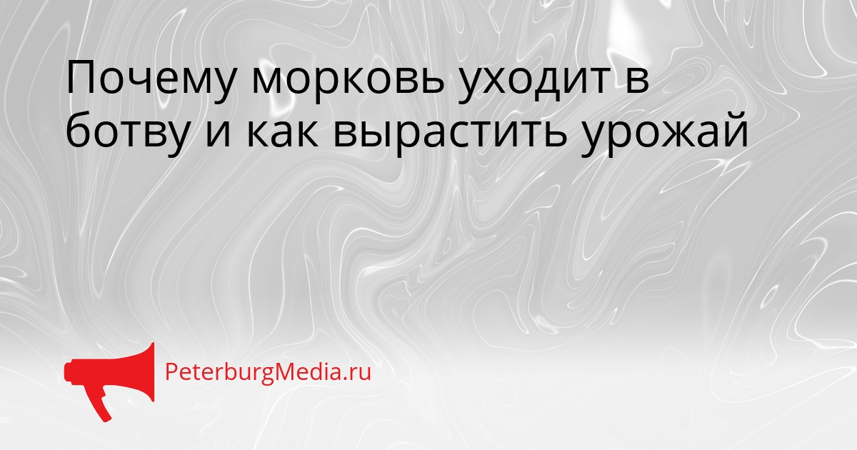 Почему морковь уходит в ботву и как вырастить урожай Сгенерировано