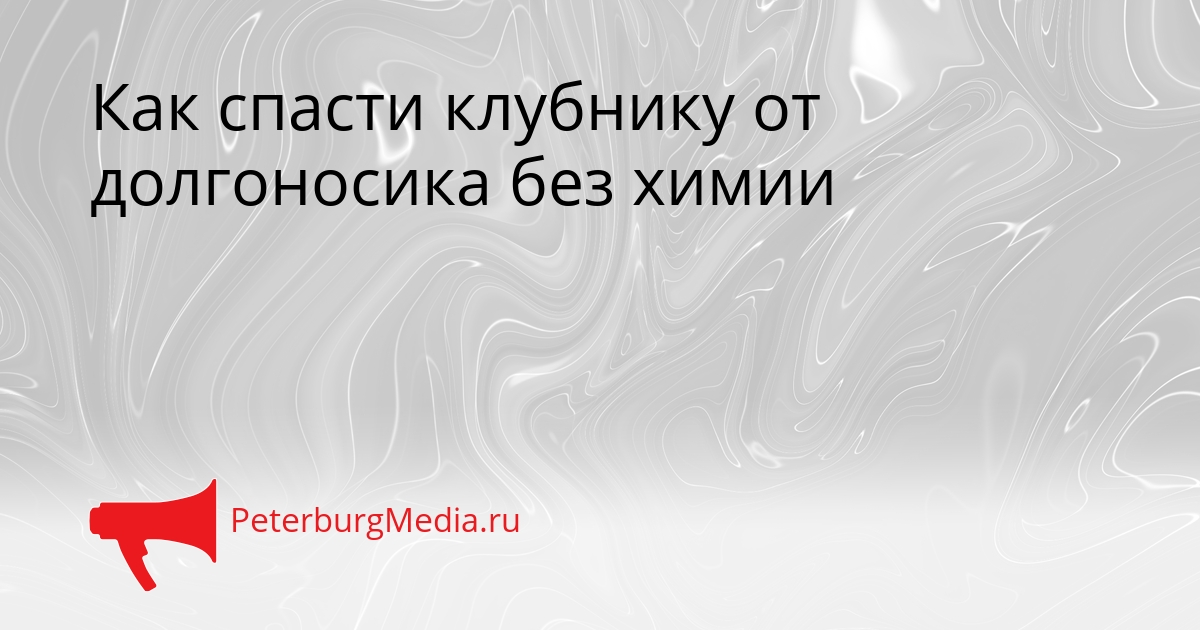 Как спасти клубнику от долгоносика без химии Сгенерировано