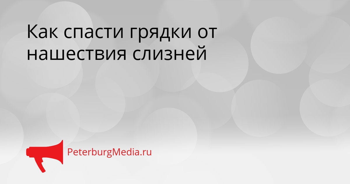 Как спасти грядки от нашествия слизней Сгенерировано