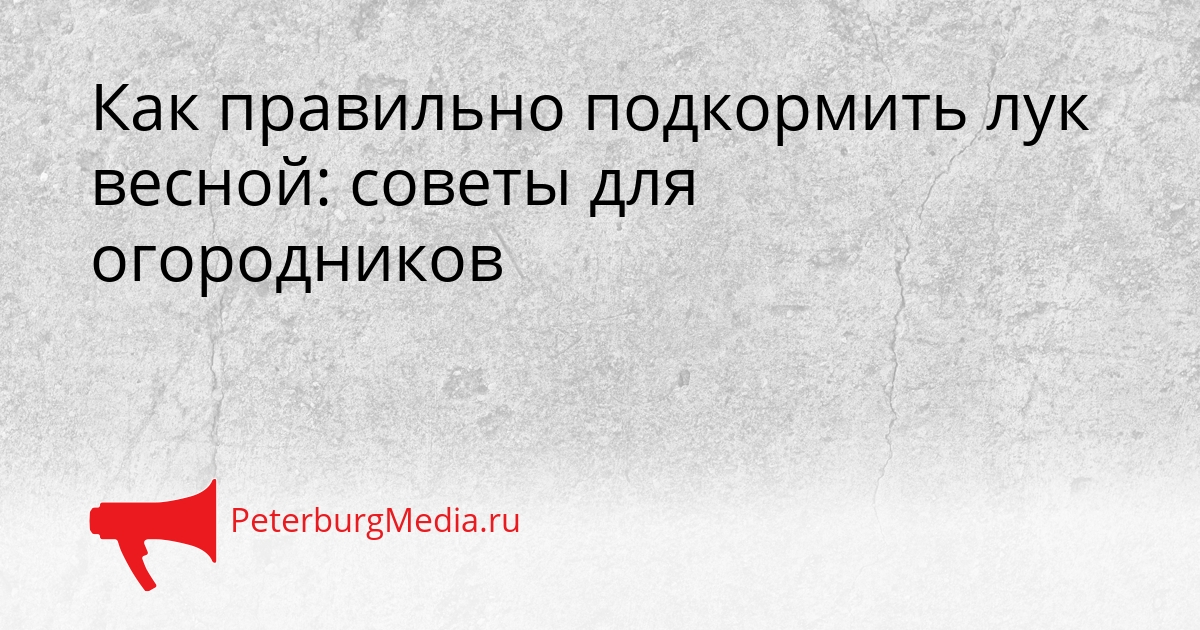 Как правильно подкормить лук весной: советы для огородников Сгенерировано