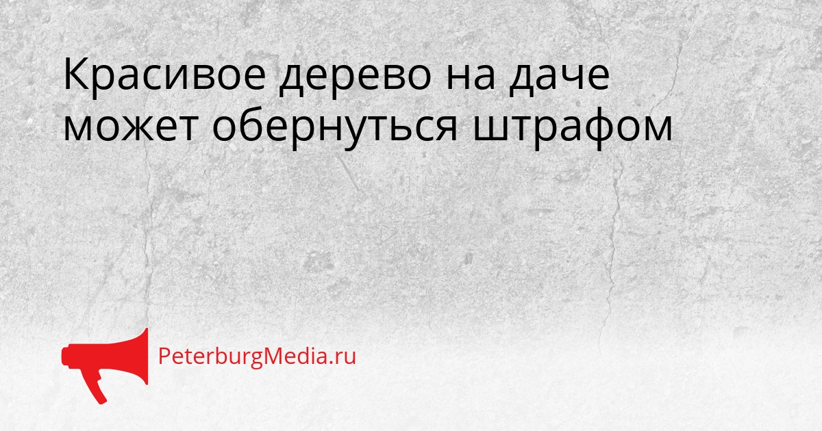 Красивое дерево на даче может обернуться штрафом Сгенерировано