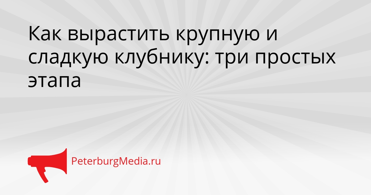 Как вырастить крупную и сладкую клубнику: три простых этапа Сгенерировано
