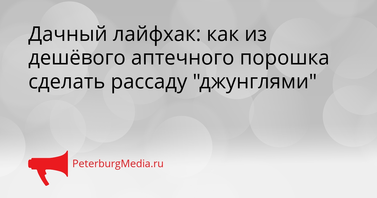 Дачный лайфхак: как из дешёвого аптечного порошка сделать рассаду &quotджунглями&quot Сгенерировано