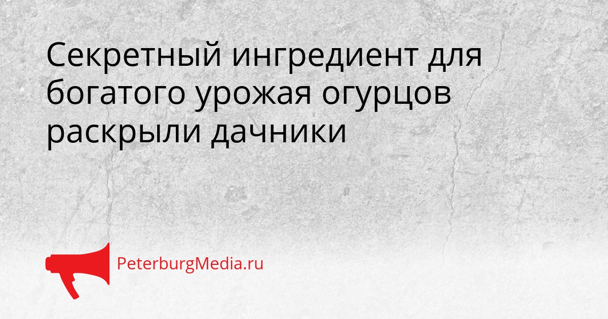 Секретный ингредиент для богатого урожая огурцов раскрыли дачники Сгенерировано