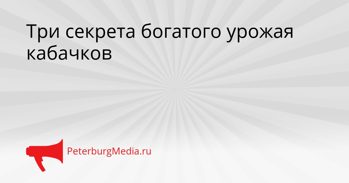 Три секрета богатого урожая кабачков Сгенерировано
