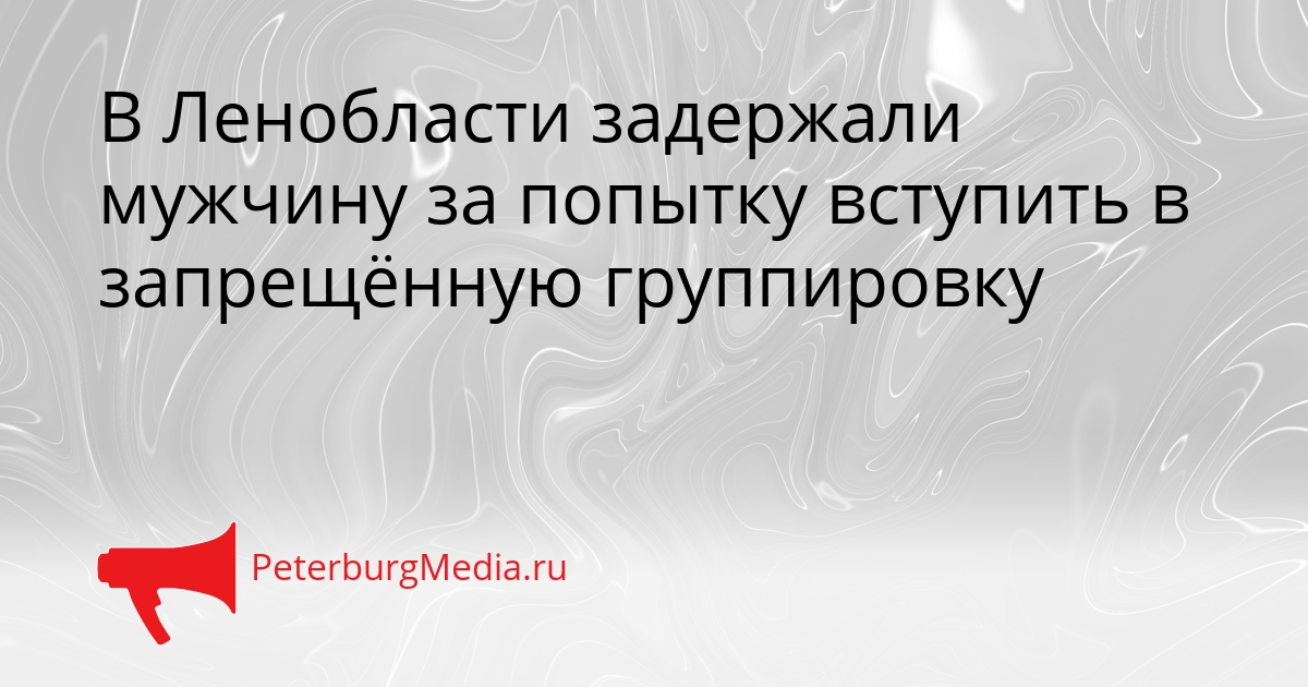 В Ленобласти задержали мужчину за попытку вступить в запрещённую группировку Сгенерировано