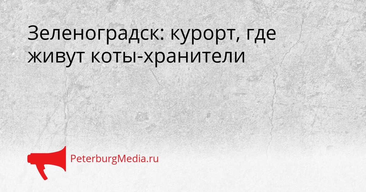 Зеленоградск: курорт, где живут коты-хранители Сгенерировано