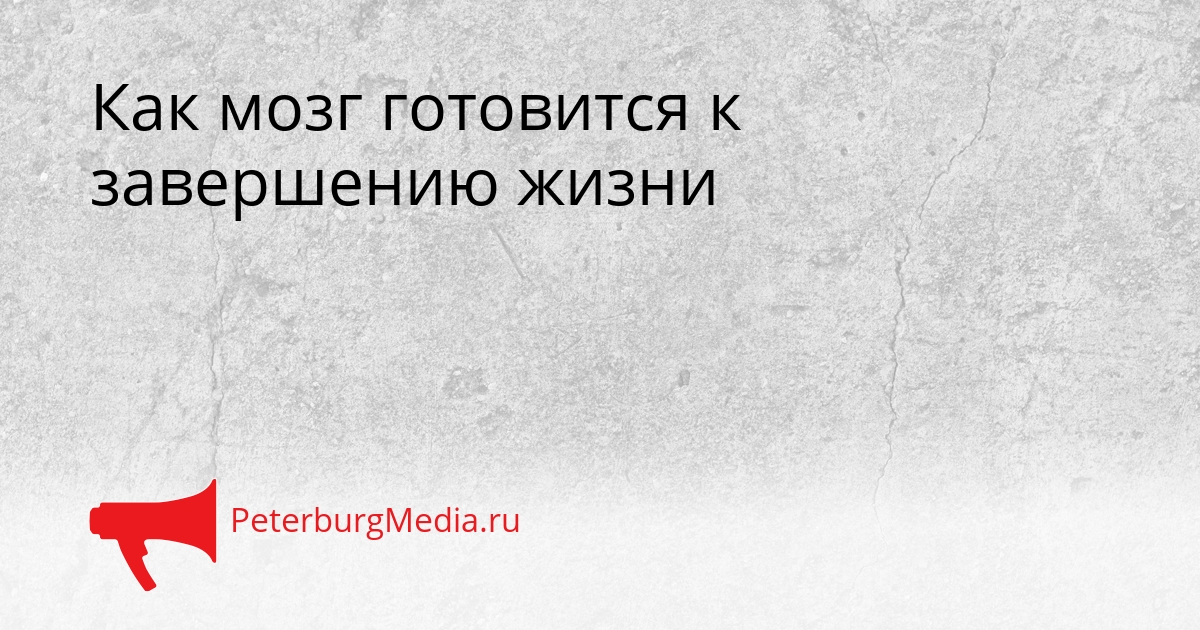 Как мозг готовится к завершению жизни Сгенерировано