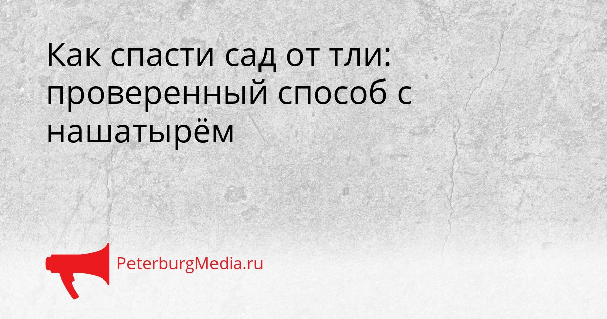 Как спасти сад от тли: проверенный способ с нашатырём Сгенерировано
