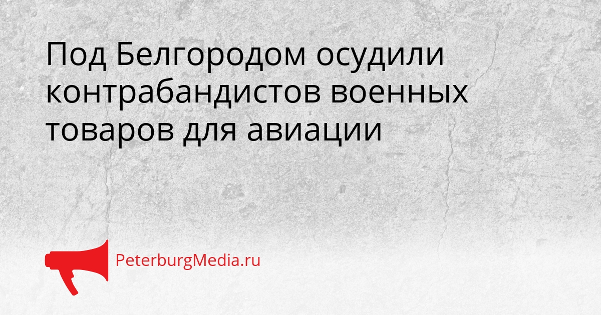 Под Белгородом осудили контрабандистов военных товаров для авиации Сгенерировано