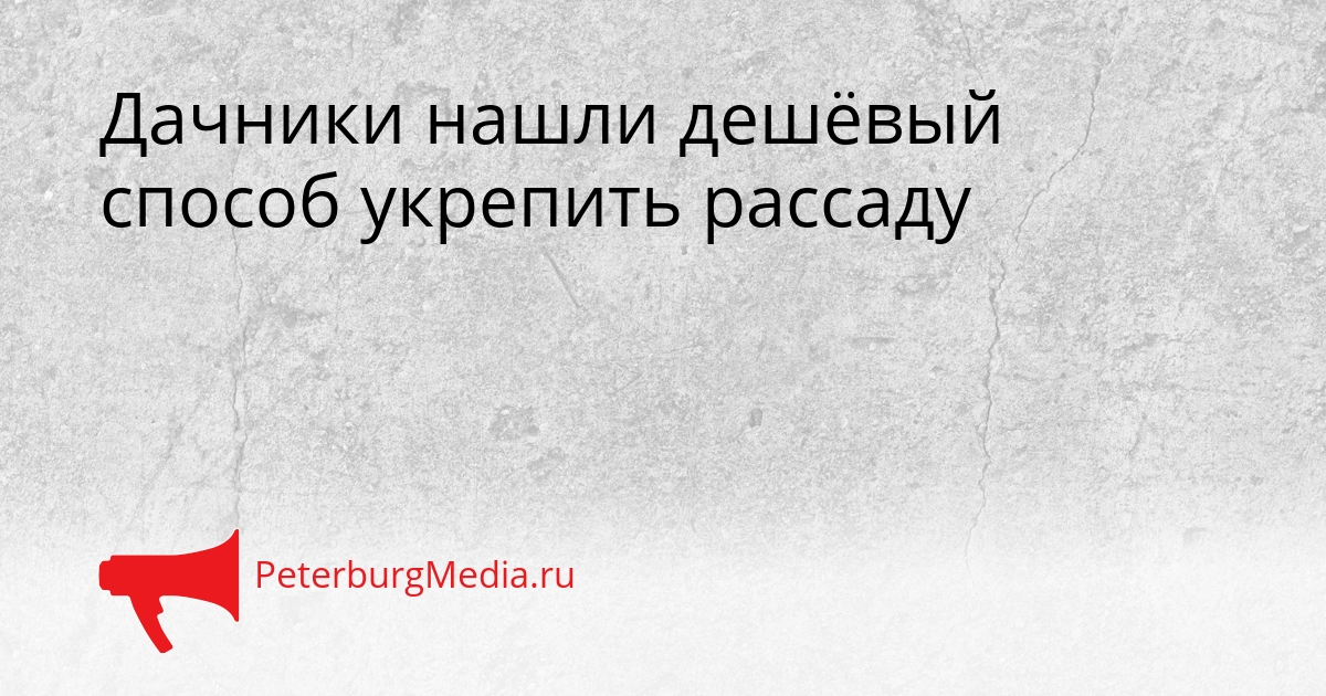Дачники нашли дешёвый способ укрепить рассаду Сгенерировано