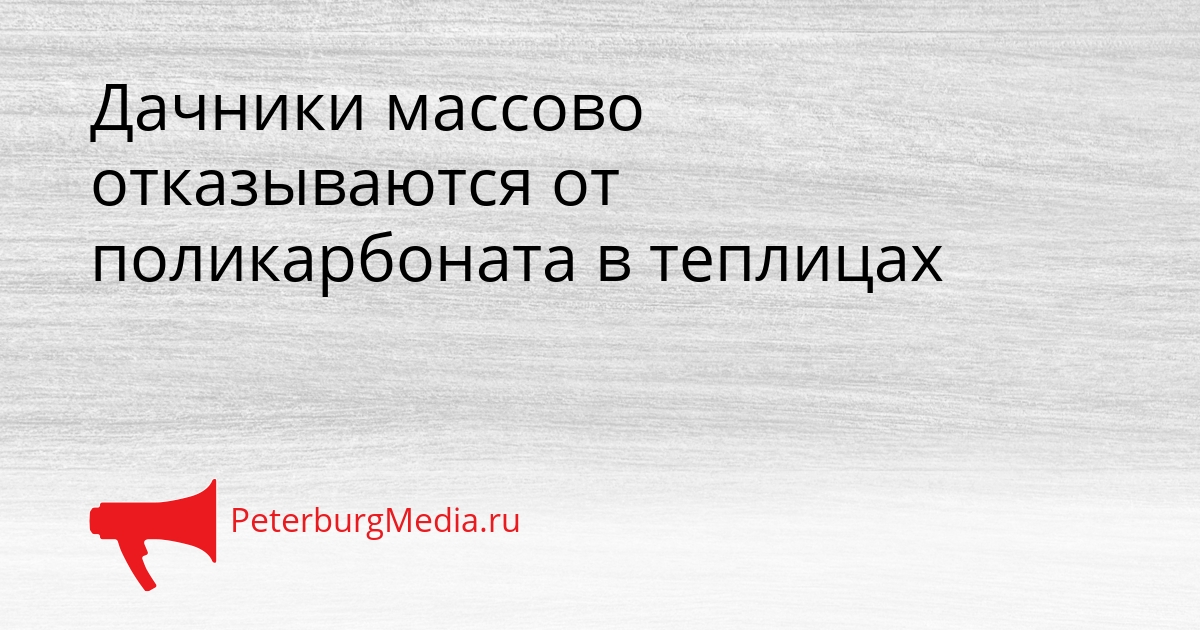 Дачники массово отказываются от поликарбоната в теплицах Сгенерировано
