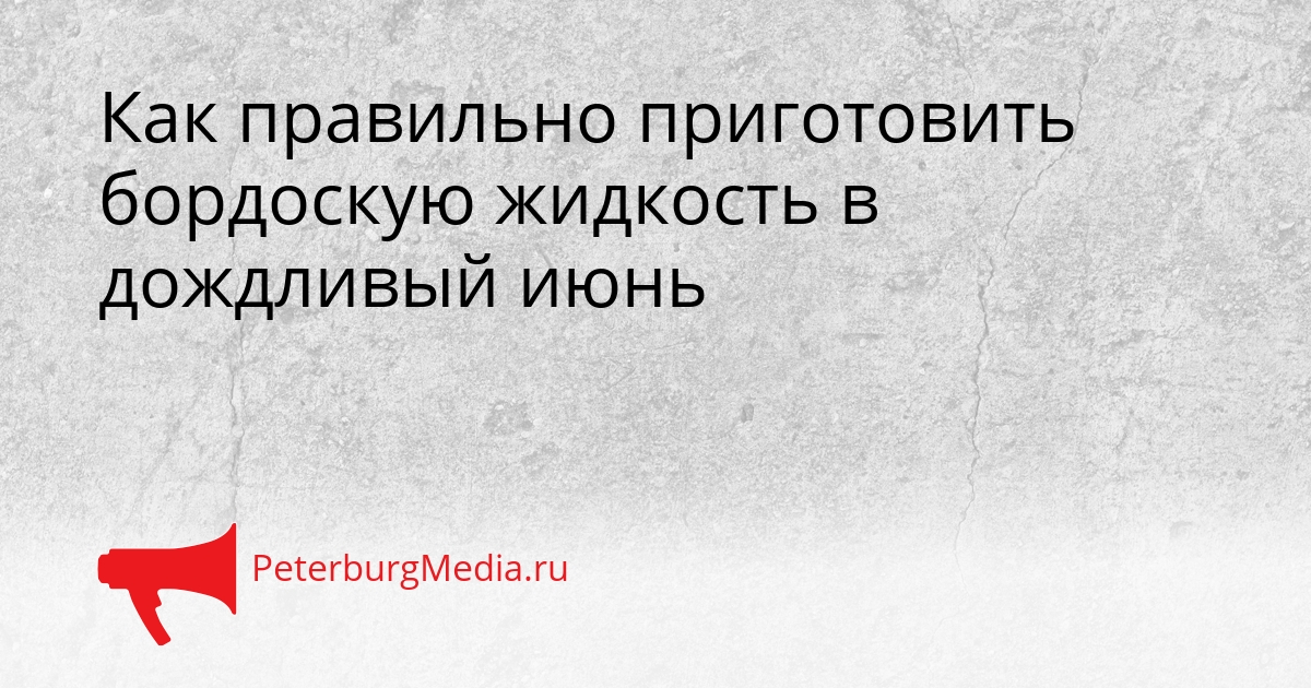 Как правильно приготовить бордоскую жидкость в дождливый июнь Сгенерировано