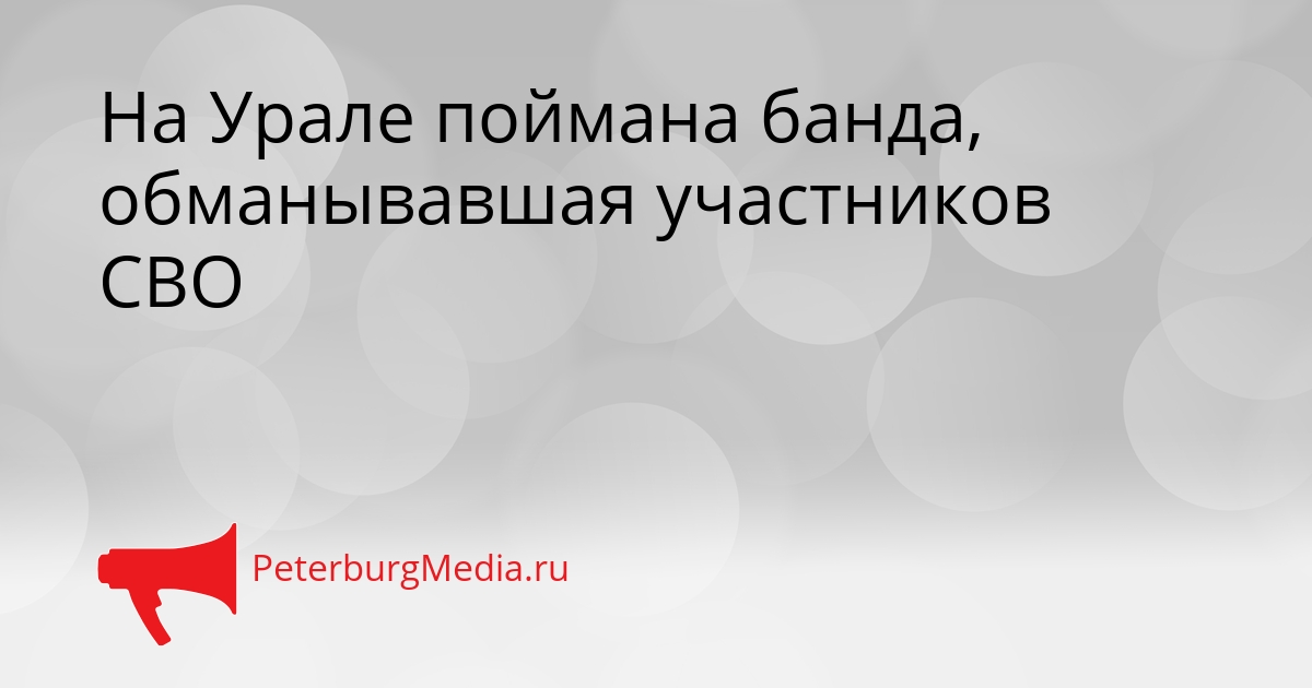 На Урале поймана банда, обманывавшая участников СВО Сгенерировано