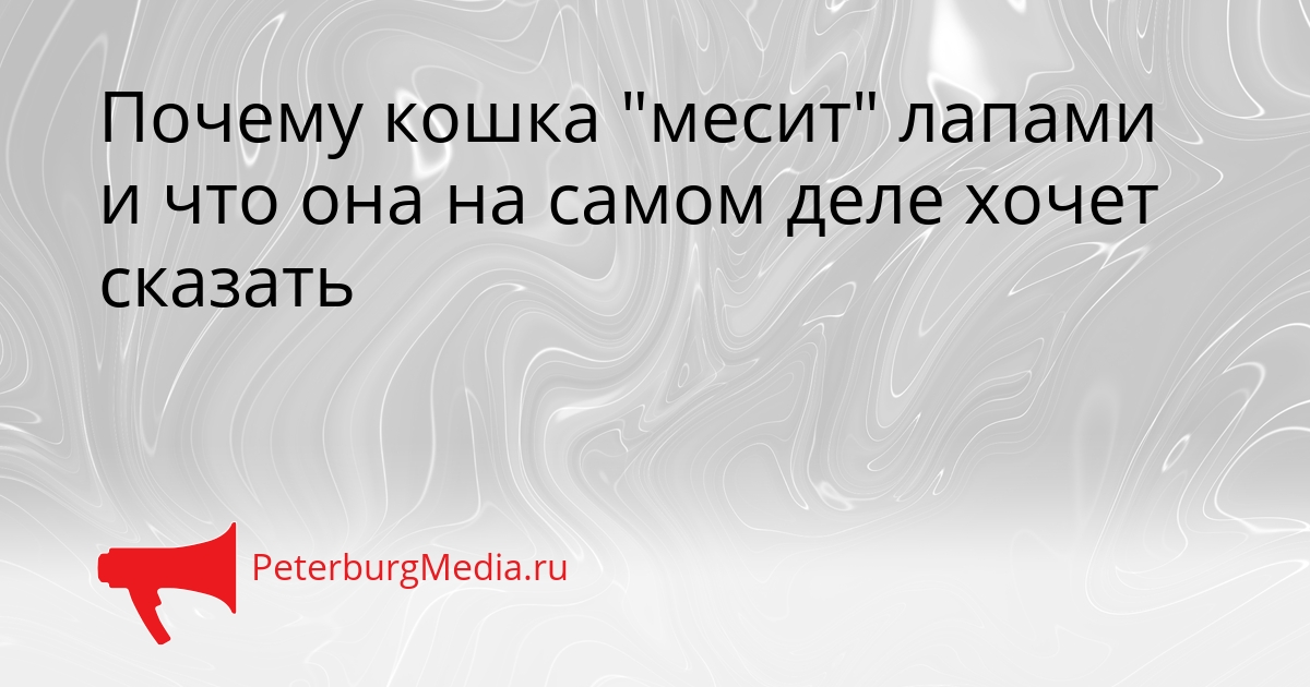 Почему кошка &quotмесит&quot лапами и что она на самом деле хочет сказать Сгенерировано
