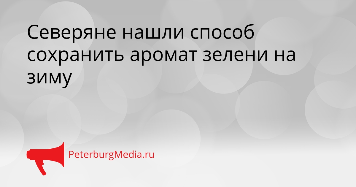 Северяне нашли способ сохранить аромат зелени на зиму Сгенерировано