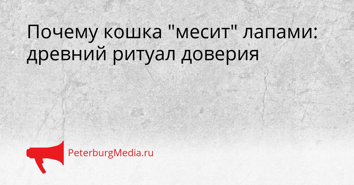 Почему кошка &quotмесит&quot лапами: древний ритуал доверия Сгенерировано