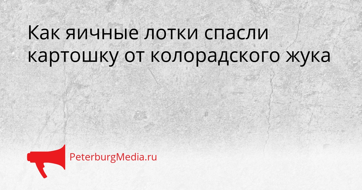 Как яичные лотки спасли картошку от колорадского жука Сгенерировано