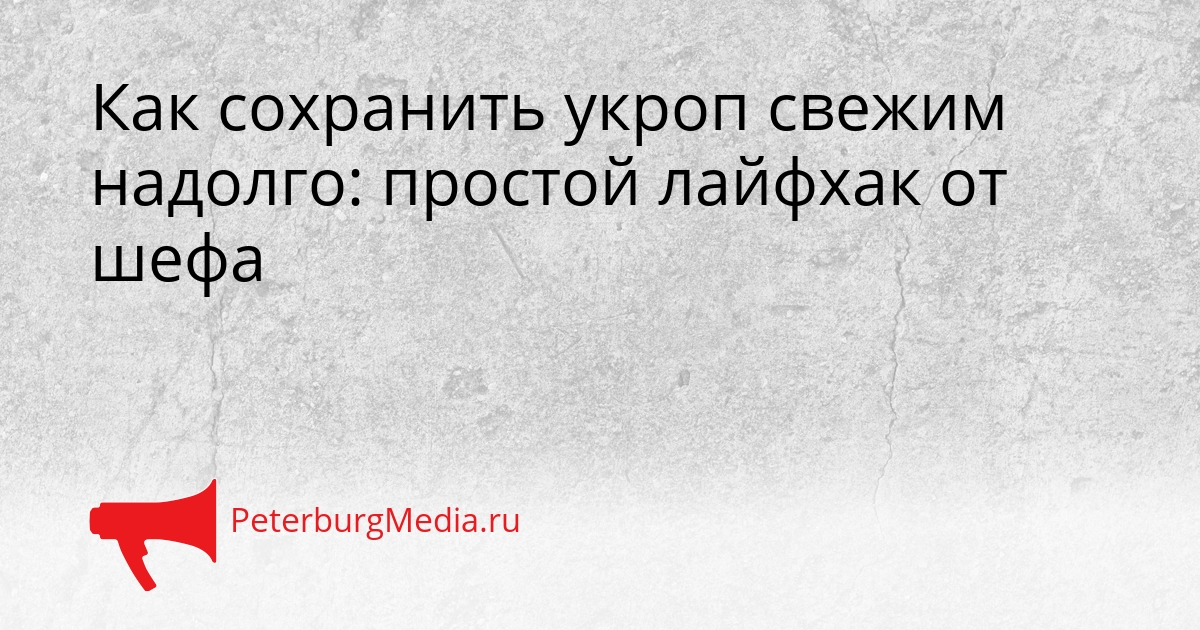 Как сохранить укроп свежим надолго: простой лайфхак от шефа Сгенерировано