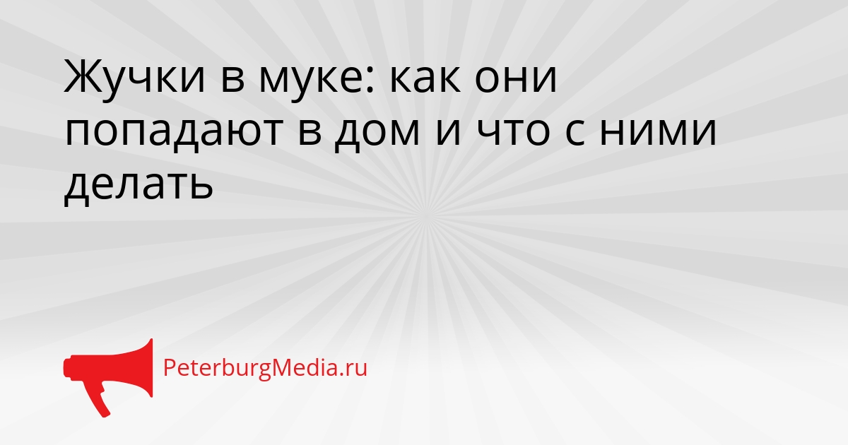 Жучки в муке: как они попадают в дом и что с ними делать Сгенерировано