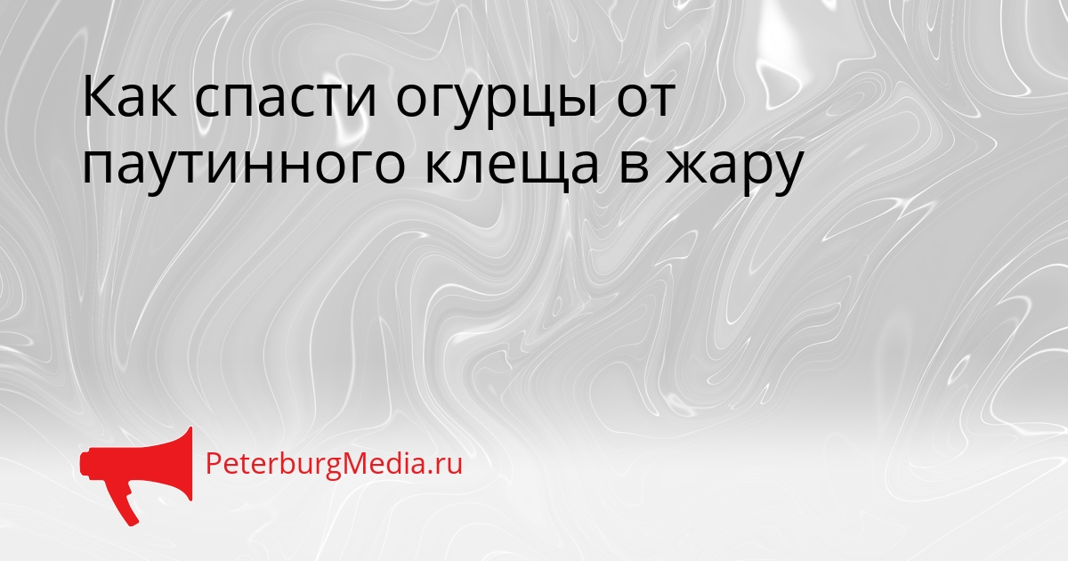 Как спасти огурцы от паутинного клеща в жару Сгенерировано