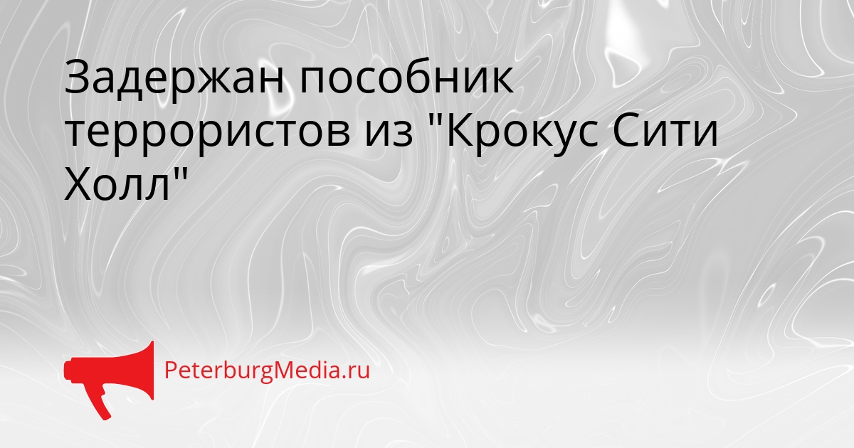 Задержан пособник террористов из &quotКрокус Сити Холл&quot Сгенерировано