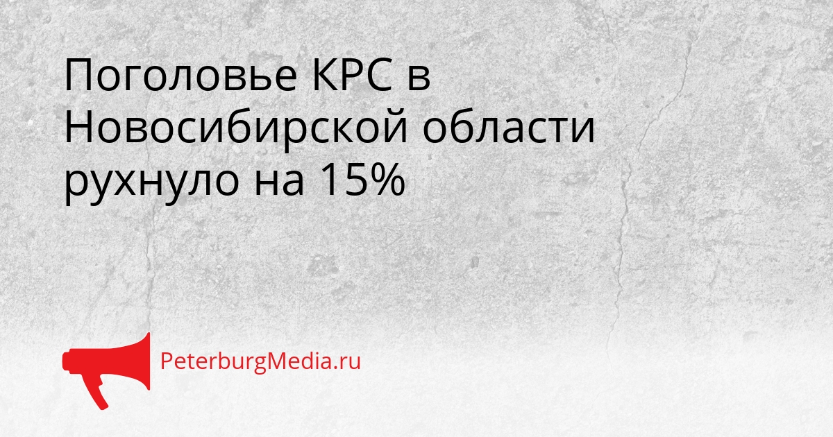 Поголовье КРС в Новосибирской области рухнуло на 15% Сгенерировано
