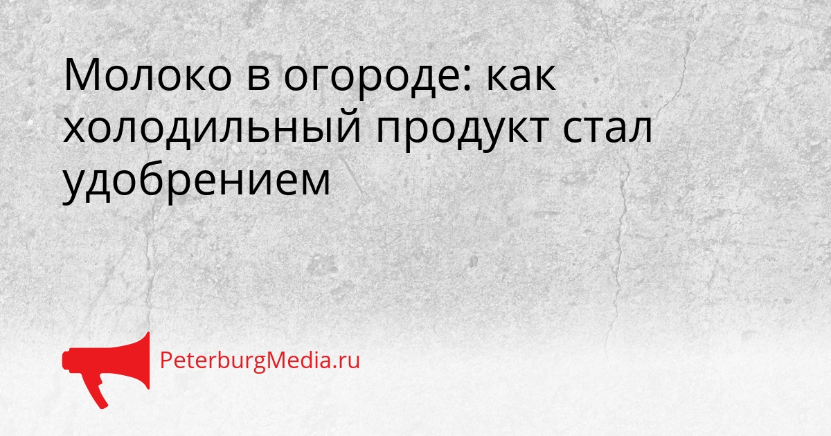 Молоко в огороде: как холодильный продукт стал удобрением Сгенерировано