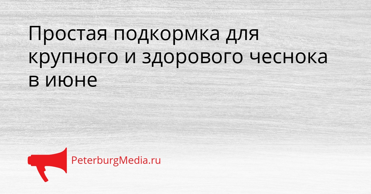 Простая подкормка для крупного и здорового чеснока в июне Сгенерировано