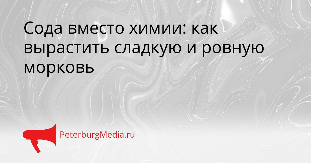 Сода вместо химии: как вырастить сладкую и ровную морковь Сгенерировано