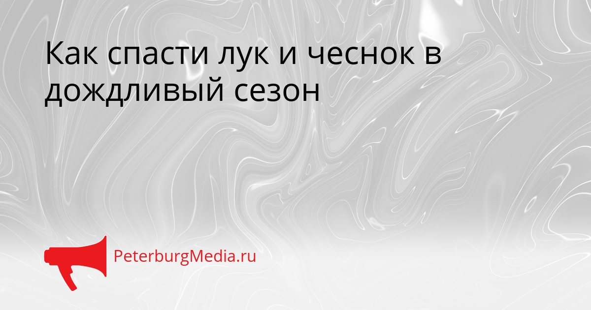 Как спасти лук и чеснок в дождливый сезон Сгенерировано