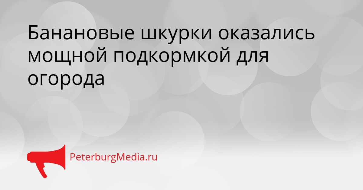 Банановые шкурки оказались мощной подкормкой для огорода Сгенерировано