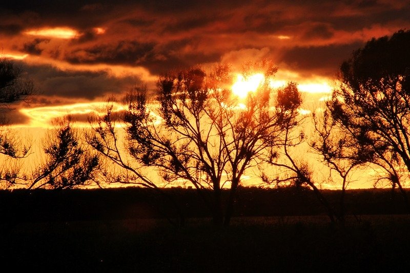 Глобальное потепление меняет климат Антон Балашов