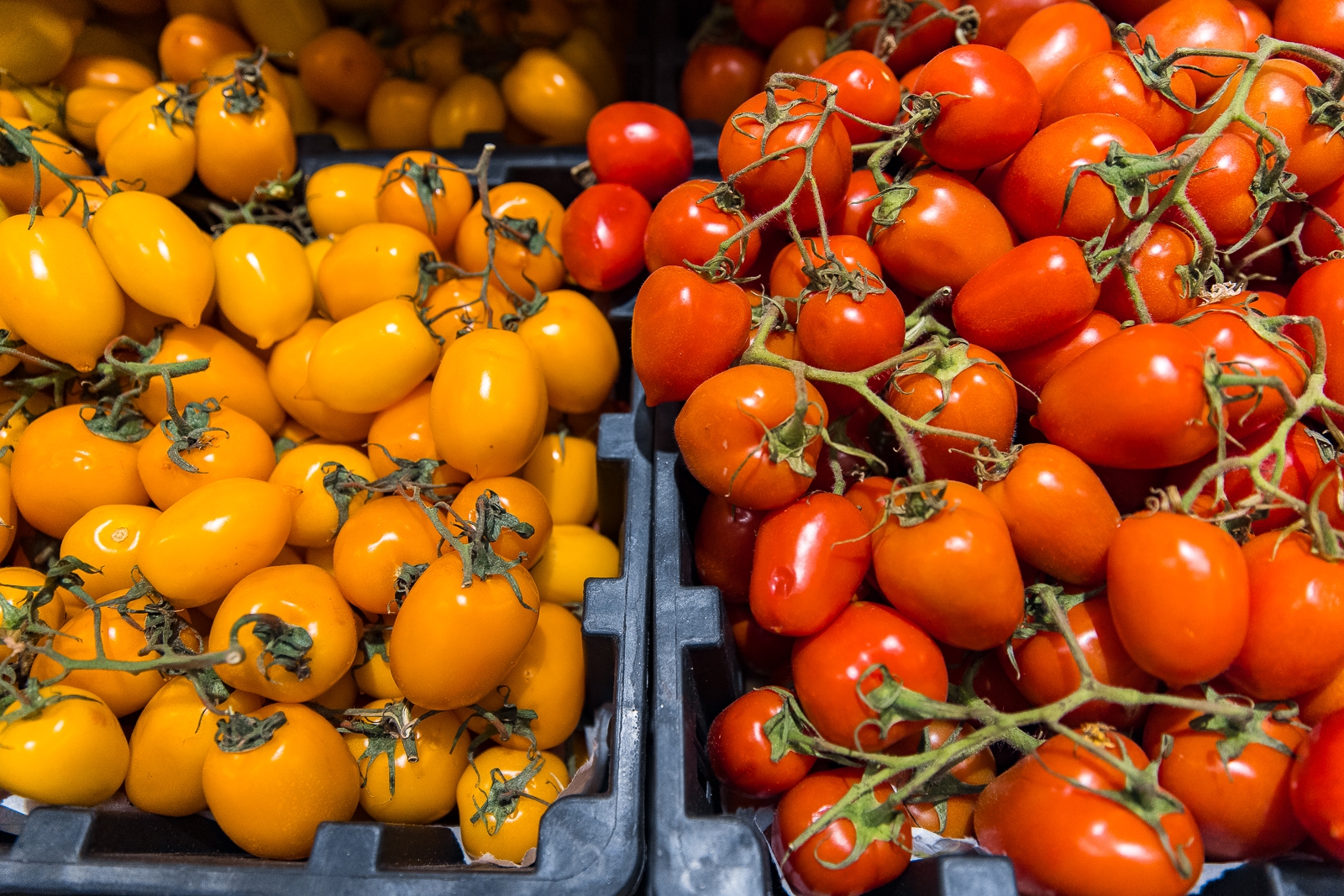 Помидоры Илья Аверьянов, ИА PrimaMedia