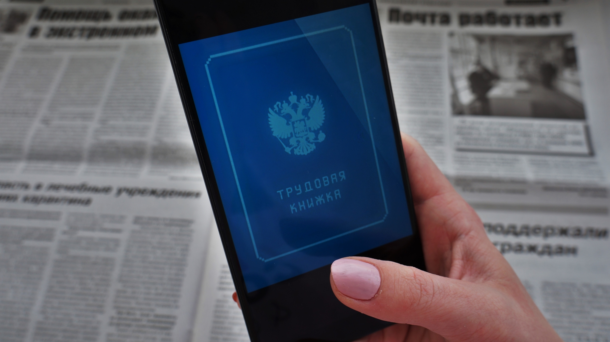 Кого и куда чаще всего приглашают на работу в России Ольга Брютова, ИА UssurMedia