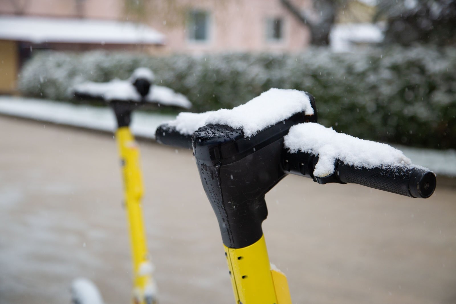 К Пасхе в Москву может вернуться снег Артём Хорошилов  , ИА Stavropol.Media