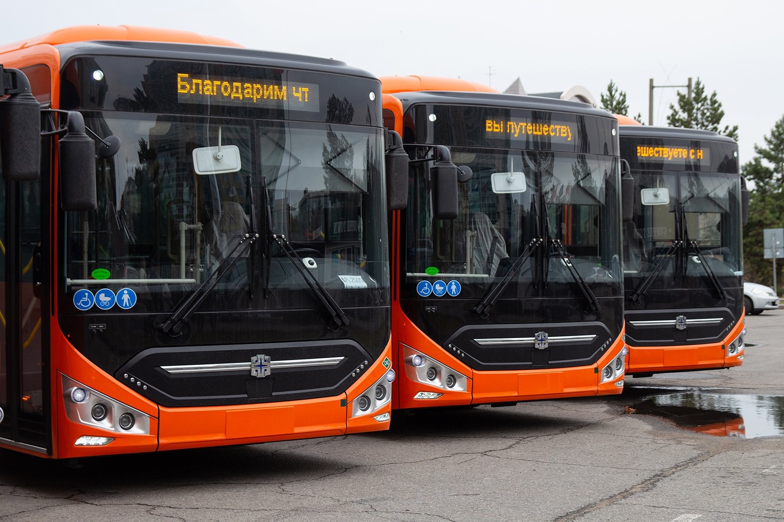 Москва переводит весь общественный транспорт на электричество Юлия Матреницкая, ИА AmurMedia.ru
