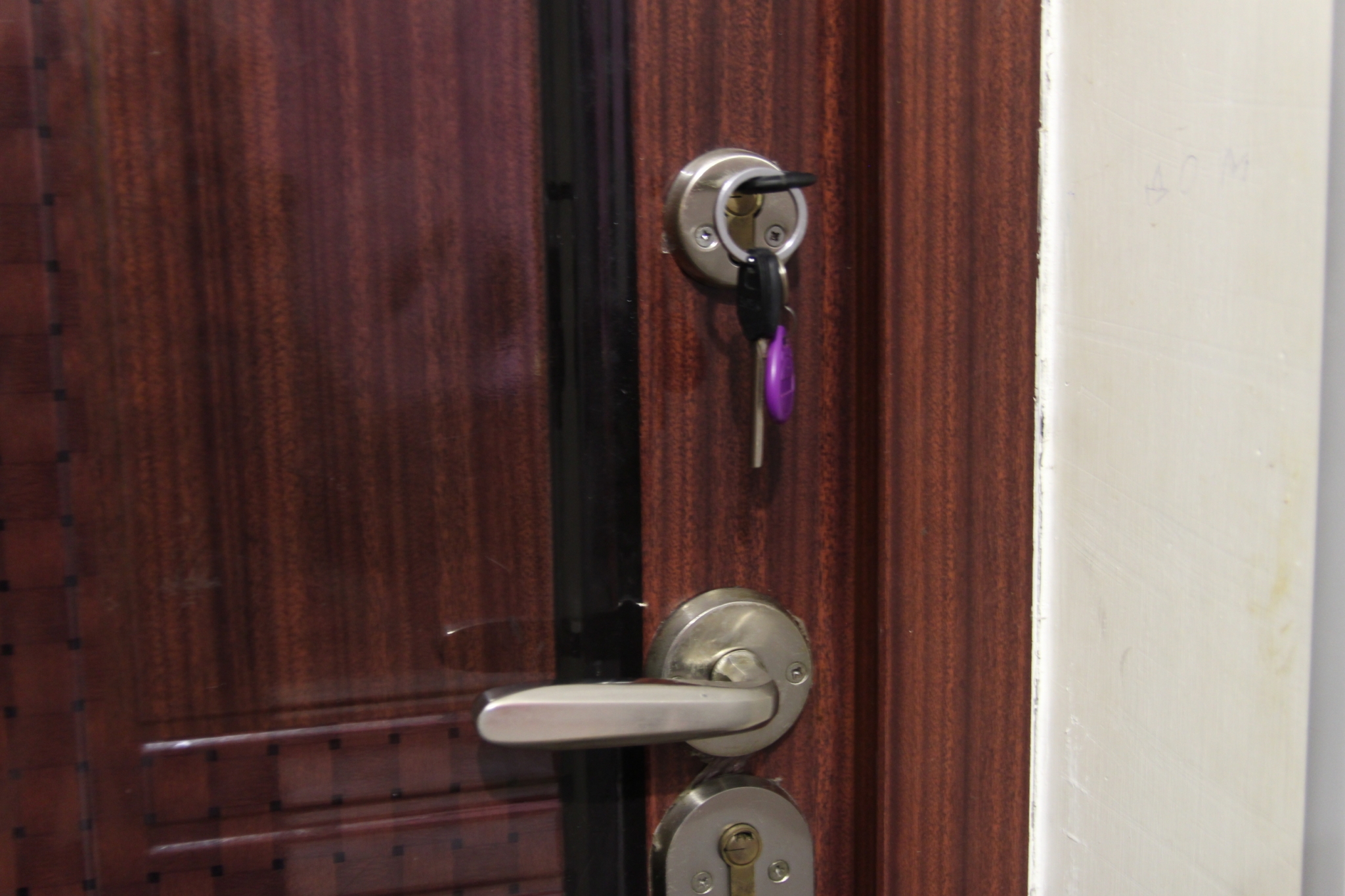 Сестра пустила брата пожить в пустующую квартиру &quotна первое время&quot и горько об этом пожалела ИА EAOMedia, Письменова Ксения